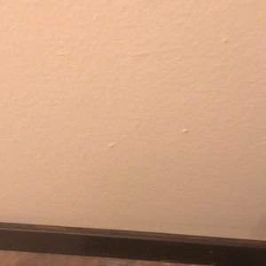 Meet your Posher, Allen